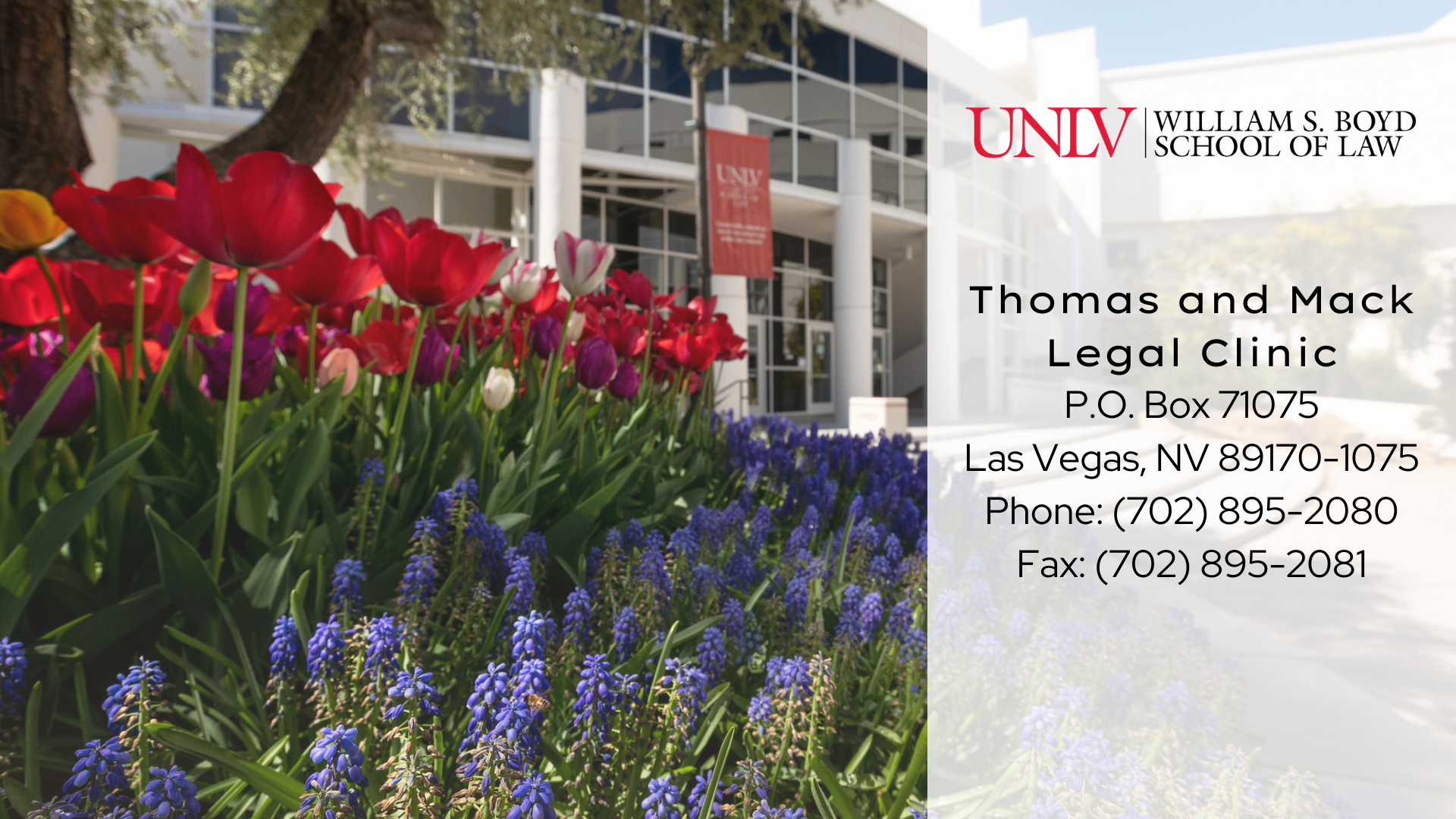 Thomas and Mack Legal Clinic Contact Information